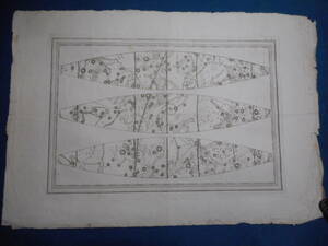 即決1792年『カッシーニ天球儀ゴア2』アンティーク、天文、天体、星座早見盤、銅版画、星図、Star map, Planisphere, Celestial atlas