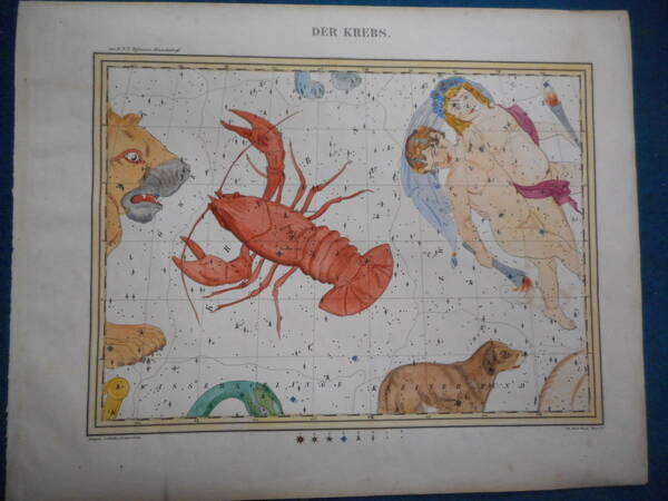 即決　1835年『ホッフマン星図かに座ふたご座他』アンティーク、天文、星座早見盤、手彩色石版画、Star map, Planisphere, Celestial atlas