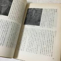 b35 仏教芸術 昭和39年8月30日発行 毎日新聞社 高木金之助 絵画 大仙院 西明寺 フォラディ 日本美術 仏教 禅 小書院 本 四天柱_画像9