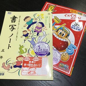 bド75 書写 書道 ペンテキスト 学習 ドリル 問題集 国語 算数 漢字 社会 英語 テスト 小学生 テキスト テスト用紙 教材 文章問題 計算 