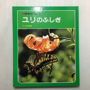 zaa-166♪ユリのふしぎ (科学のアルバム) 単行本 1987/6/1 今井 国勝 (著) 1994年　あかね書房