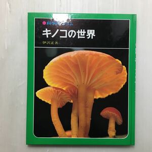 zaa-166! mushrooms. world ( science. album ) separate volume .. regular name ( work ) 1994 year ... bookstore 