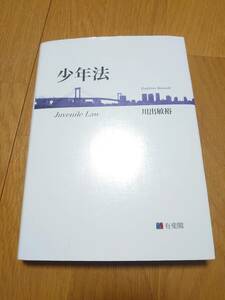 【川出敏裕】少年法講義　法科大学院・司法修習・刑事実務・ロースクール・予備試験・司法試験