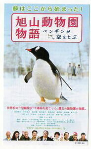 『旭山動物園物語 ペンギンが空をとぶ』映画半券/西田敏行、中村靖日、前田愛