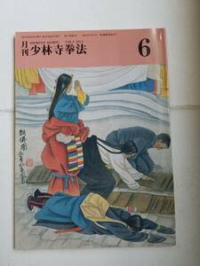 「月刊少林寺拳法　1997/6月号」