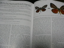 Tropical Lepidoptera Vol.30,No.2 モルフォチョウ・タテハチョウ・ジャノメチョウ・セセリチョウ新記載・分類・生態、蛾_画像7