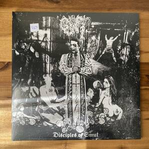 即決 Gut「Disciples of Smut」2枚組 アナログ LP レコード 透明赤/黒 スプラッタービニール 未開封新品 Gore Grind COCK AND BALL TORTUREの画像1