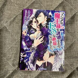 「マジメな魔王様を誘惑したらドSな絶倫になりました。」 丸木文華