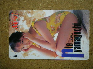 yamag* Yamaguchi Rie Young animal . pre swimsuit unused 50 frequency telephone card 