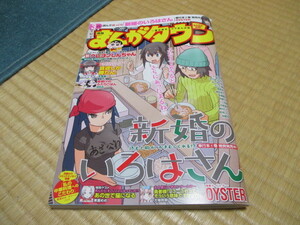 月刊まんがタウン★2021/3月号★新婚のいろはさん★勇者様 ! ? こ・・・これって そういう意味ですかっ ? !