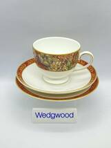 WEDGWOOD ウェッジウッド AUGUSTUS BICENTENARY Tea Cup Trio アウグストゥス 200年 ティーカップ & ソーサー ＆ プレート *740_画像1