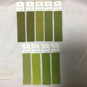 SCOTDIC( スコットディック ) コットン 布 イエローグリーン