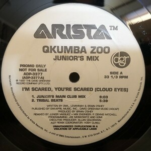 Qkumba Zoo / I'm Scared, You're Scared (Cloud Eyes) (Junior's Mix)