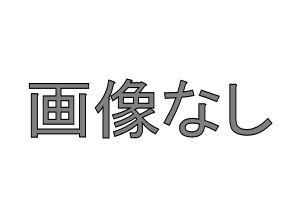 プリウスPHV タッチアップペイント トヨタ純正部品 ZVW52 パーツ オプション