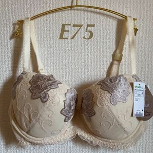 トリンプ フロラーレ E75 ブラジャー