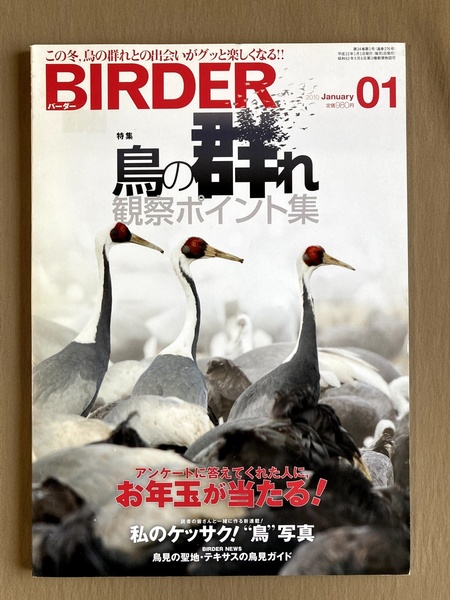BIRDER バーダー 2010年1月号★鳥の群れ 観察ポイント集
