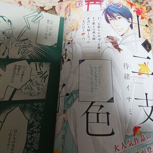 BL雑誌切抜★待緒イサミ「十二支色恋草子～蜜月の章～ 第1話」Dear+2017/10新連載