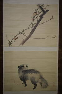 Art hand Auction [Copy] //Mori Tetsuzan/Raccoon dog/Flowers and birds/Significant/Hotei-ya hanging scroll HI-135, painting, Japanese painting, flowers and birds, birds and beasts