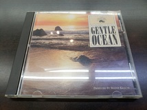 CD / GENTLE OCEAN ENVIRONMENTAL SOUNDS / 中古_画像1