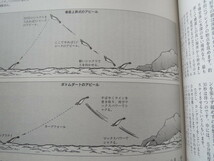 ★激エギング 秋～冬攻略★ミズイカ　アオリ　餌木　_画像5