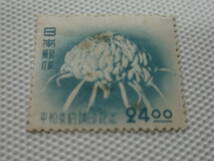 平和条約調印記念 1951.9.9 キク 24円切手 単片 未使用 ヒンジ跡_画像7