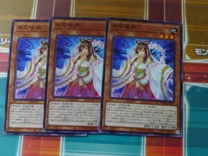 遊戯王　木花咲弥　3枚セット　ノーマル　ドーン・オブ・マジェスティ　　プレイ用　R030417　数量