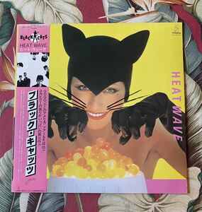 BLACK CATS 帯付LP HEAT WAVE ロカビリー クリームソーダ ブラックキャッツ