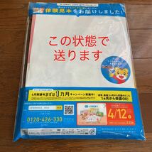 【未使用】こどもちゃれんじ　体験版　ほっぷ　すてっぷ　じゃんぷ　しまじろう　DVD ベネッセ 体験版　ぷち絵本　ぽけっと　英語　シール_画像5