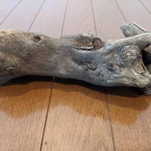 ☆天然流木 水槽 1点物 アクアリウム オブジェ アート 24×8×12cm 大和川河口 爬虫類 インテリア