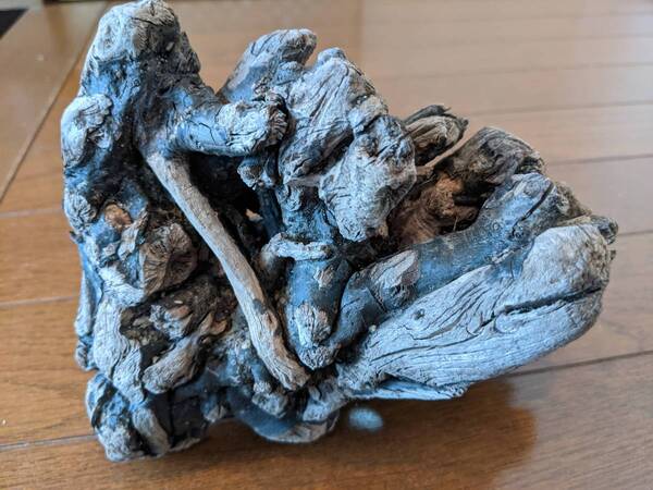 ☆天然流木 水槽 1点物 アクアリウム オブジェ アート 18×15×9cm 大和川河口 爬虫類 インテリア 根 塊