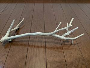 * natural driftwood aquarium 1 point thing aquarium objet d'art art 36×11.5×18cm Yamato river outfall reptiles interior good-looking branch 