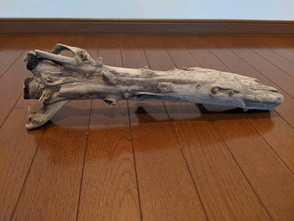 ☆天然流木 水槽 1点物 アクアリウム オブジェ アート 49×14.5×9.5cm 大和川河口 爬虫類 インテリア