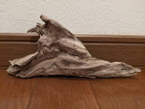 ☆天然流木 水槽 1点物 アクアリウム オブジェ アート 20.5×9×4cm 大和川河口 爬虫類 インテリア