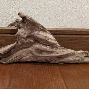☆天然流木 水槽 1点物 アクアリウム オブジェ アート 20.5×9×4cm 大和川河口 爬虫類 インテリア