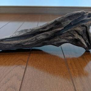 ☆天然流木 水槽 1点物 アクアリウム オブジェ アート 26×8×9cm 大和川河口 爬虫類 インテリア