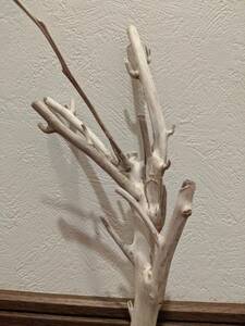 * natural driftwood aquarium 1 point thing aquarium objet d'art art 27.5×9.5×12.5cm Yamato river outfall reptiles interior branch 