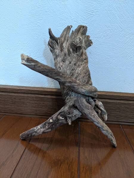☆天然流木 水槽 1点物 アクアリウム オブジェ アート 18×14.5×10.5cm 大和川河口 爬虫類 インテリア 観賞用