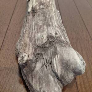☆天然流木 水槽 1点物 アクアリウム オブジェ アート 37×12×7cm 大和川河口 爬虫類 インテリア