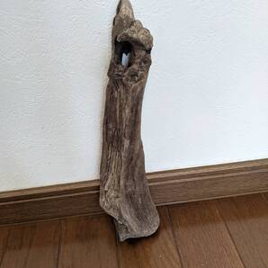 ☆天然流木 水槽 1点物 アクアリウム オブジェ アート 29×8×7cm 大和川河口 爬虫類 インテリア
