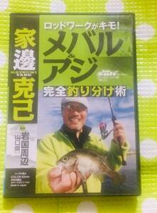 即決『同梱歓迎』DVD◇Lure Salt 家邉克己 メバル・アジ完全釣り分け術 釣り 魚◎CD×DVD多数出品中n146