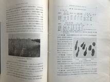 『菊芋の栽培に関する研究 第1報 農事試験調査資料第5号 昭和14年9月』北海道農事試験場 ※石狩国札幌郡琴似村・農業及園芸別刷 01477_画像4