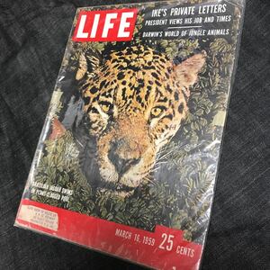 稀少/ビンテージ/雑誌/LIFE誌/ライフマガジン/USA/1959