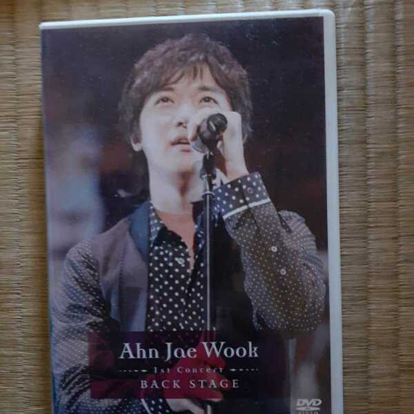 激安激レア ahn Joe wook/1st concert back stage アンジェウク　アジアンポップ DVD 貴重なインタビューなど収録