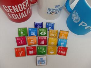 SDGsピンバッジ(11000円税込)(国連ブックショップ購入・送料無料)(17個アイコンピンバッチと1個のSDGsロゴピンバッチセット)再生素材 N98