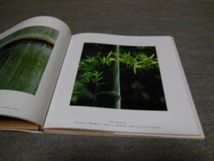 高間新治写真集 「竹の四季」BAMBOO OF JAPAN 　グラフィック社_画像5