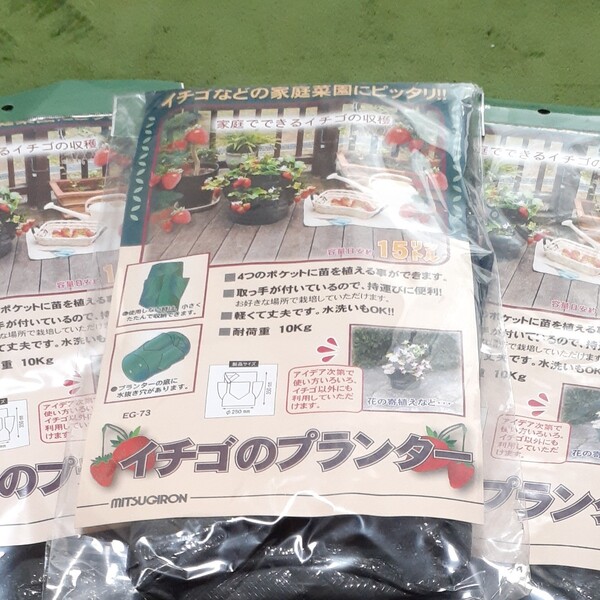 いちごのプランター 家庭菜園