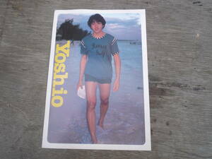 Qk357 1981年～1982年 アイドルカレンダー 下敷き 野村義男 よっちゃん たのきんトリオ 昭和アイドル 付録 