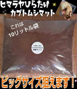 【改良版】雑虫混入99％なし！栄養価抜群で大きくなります☆ヒマラヤひらたけ発酵カブトムシマット☆産卵マットにも抜群！栄養添加剤入り