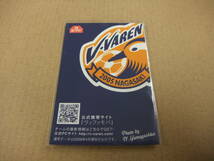 希少 Vファーレン長崎 東洋軒 2009 V03-111 南祐三 付録カード サッカー Ｊリーグ 愛媛FC_画像2