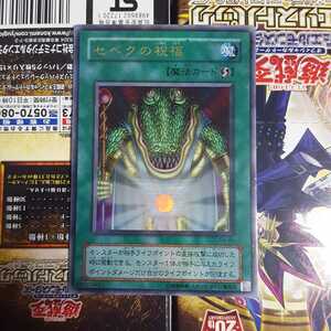 遊戯王 セベクの祝福 ウルトラ G4-06